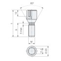 Śruba M12x1.5 / 32mm / do wąskich otw. / Torx - (ocynk) - Carbonado